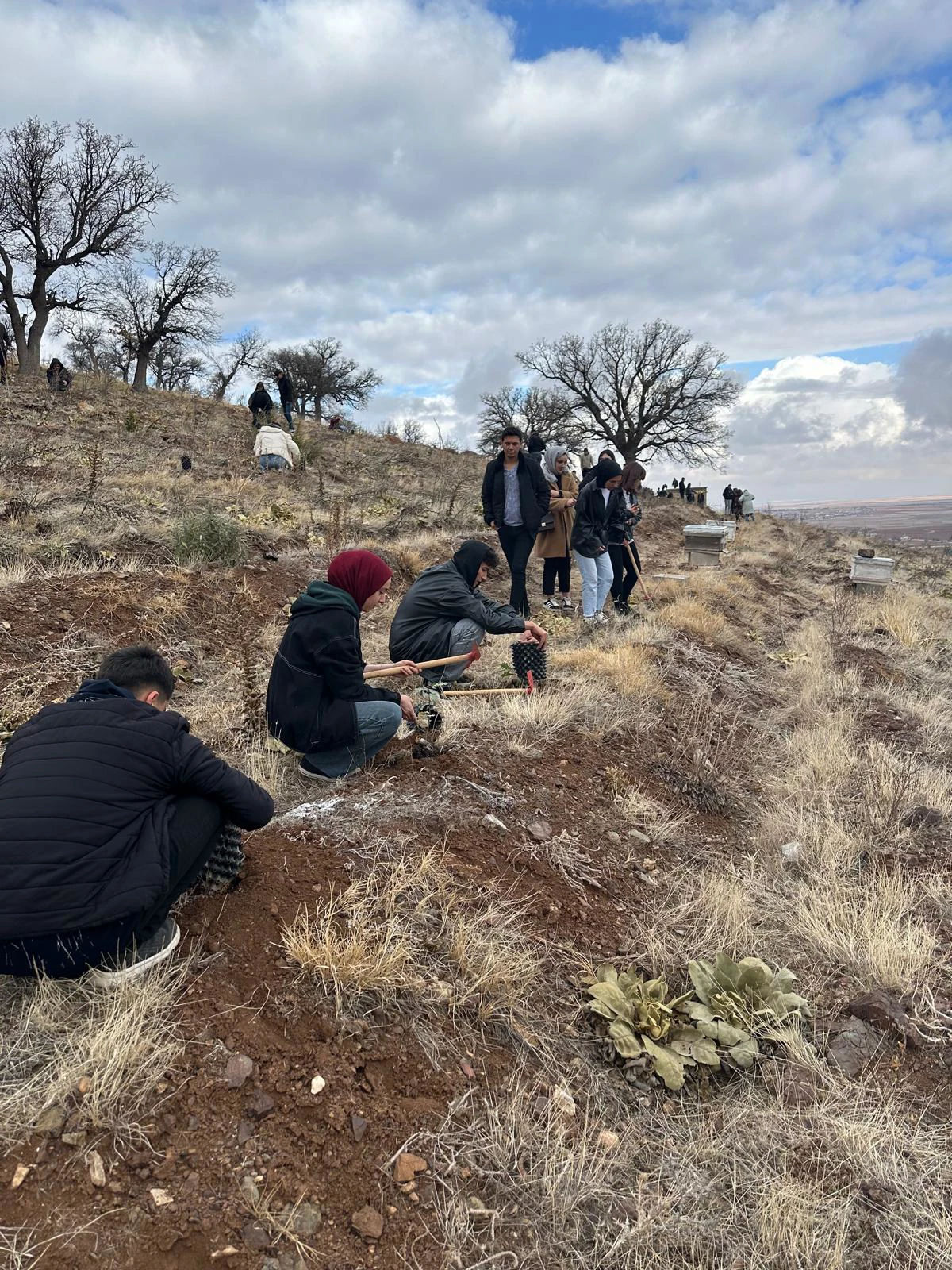 Güneysınır’da Bal Ormanı İçin Fidan Dikimi Etkinliği Gerçekleştirildi